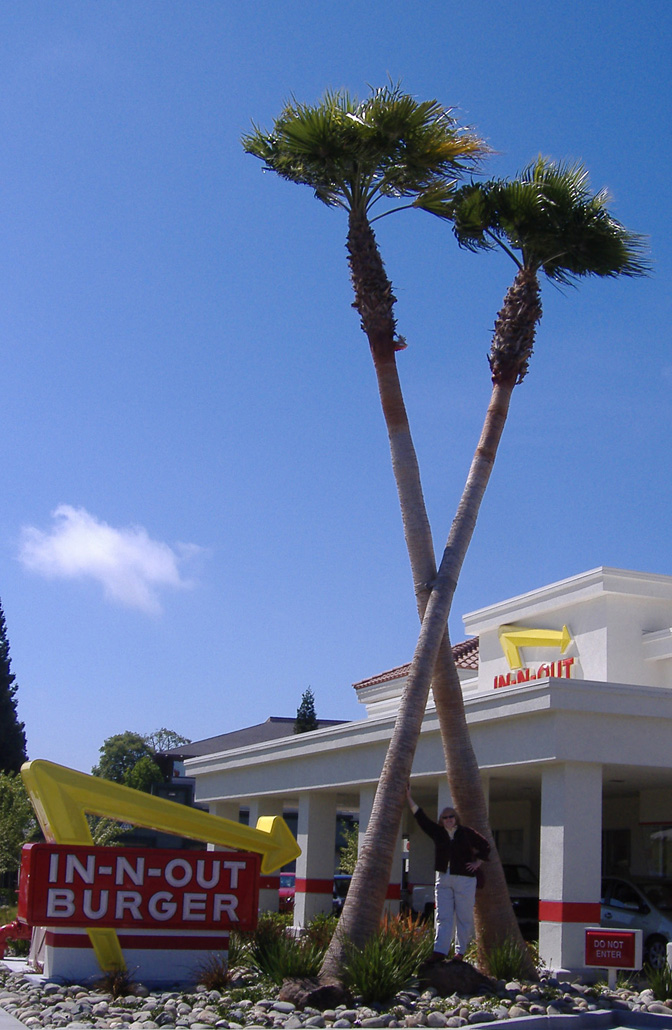 BTS In-N-Out 6-10-2010